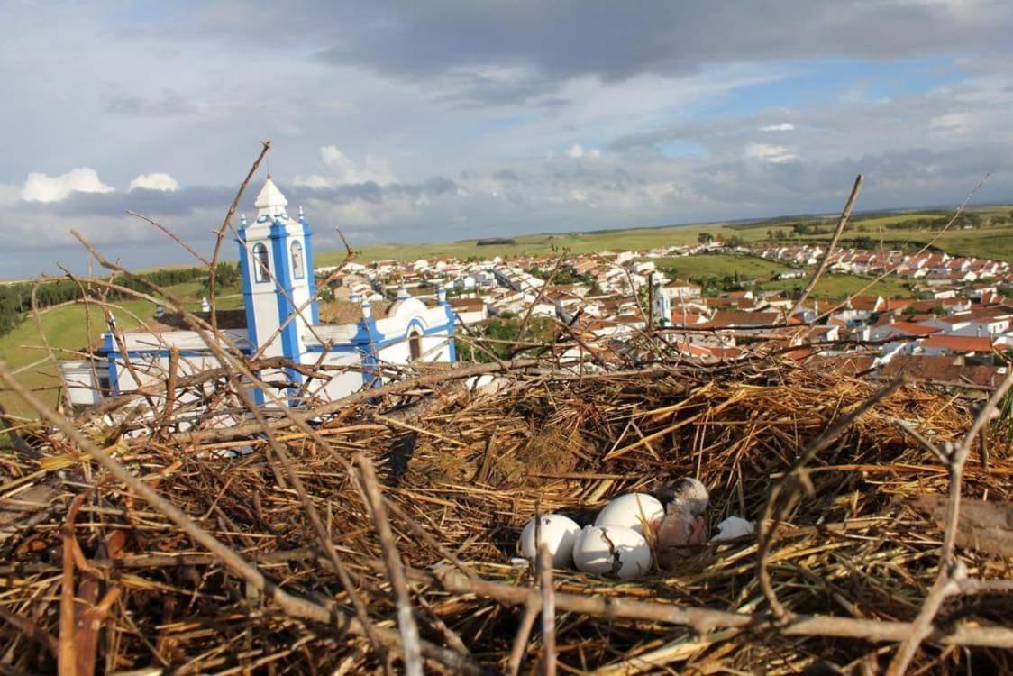A Praia Da Messejana المظهر الخارجي الصورة